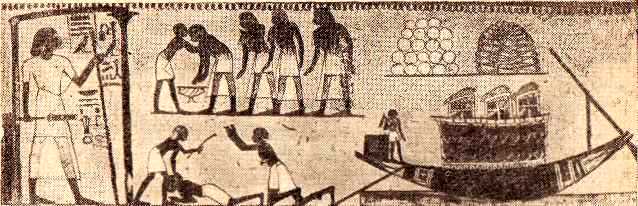 какое наименование носили отдельные области древнего египта